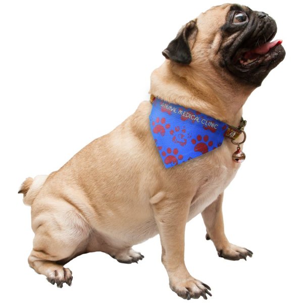 5 3/4" x 4 1/4" Custom Printed Pet Scarf - White