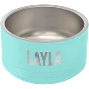 Polar Camel 18 oz. Small Teal Pet Bowl