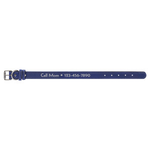 Medium 19" x 1" Blue/Silver Engraved Faux Leather Dog Collar