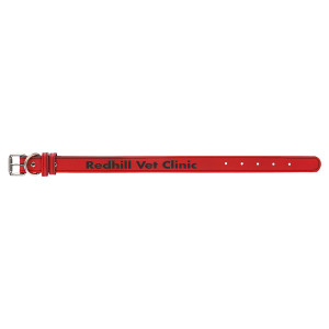 Medium 19" x 1" Red Engraved Faux Leather Dog Collar