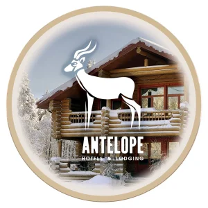 3 1/2" White Custom Printed Aluminum Disc with Gold Border